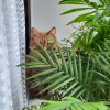 Марина