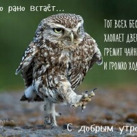 Дарья