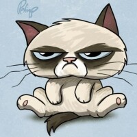 mik_kat