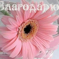 Наталья