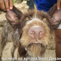 Павел