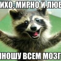 Camedi поварята