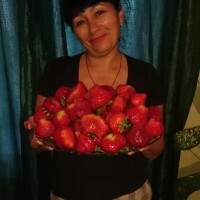 Ирина Коломоец
