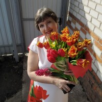 Елена Носорева