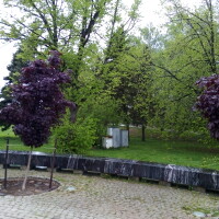 вера
