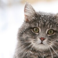 Татьяна